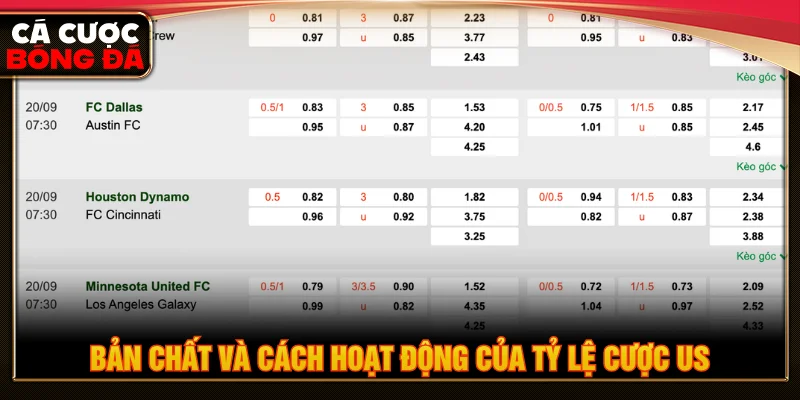 Giải thích khái niệm tỷ lệ cược US cho dân đặt kèo