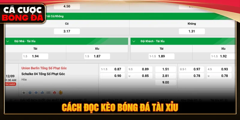 Hướng dẫn cách đọc kèo bóng đá tài xỉu cho người mới